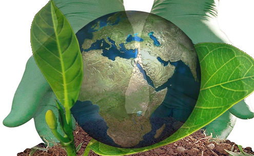SHOWA Green Eco Nitrile Gloves Holding Earth and a Leaves